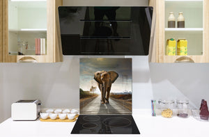 Décoration murale imprimée sur verre de sécurité – Antiprojections en verre cuisine BS21B Série animaux B  Éléphant Gris 5