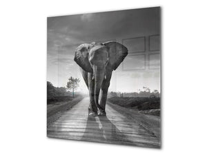 Décoration murale imprimée sur verre de sécurité – Antiprojections en verre cuisine BS21B Série animaux B  Éléphant Gris 6
