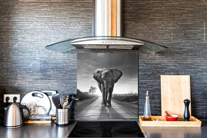 Paraspruzzi artistico stampato su vetro BS21B Serie animali B: Elefante grigio 6