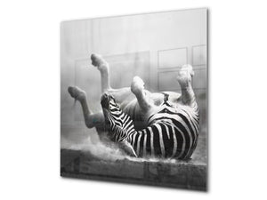 Toughened glass backsplash – BS21B  Animals B Series: Gray Zebra