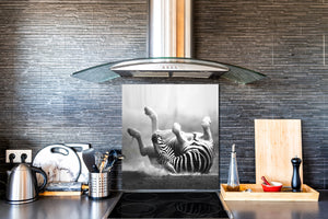 Glas Küchenrückwand – Hartglas-Rückwand – Foto-Rückwand BS 21B Serie Tiere B:  Gray Zebra