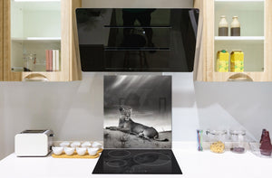Paraschizzi vetro rinforzato – Paraspruzzi artistico stampato su vetro BS21B Serie animali B:  Tigre grigia
