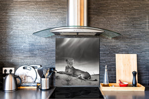 Paraschizzi vetro rinforzato – Paraspruzzi artistico stampato su vetro BS21B Serie animali B:  Tigre grigia