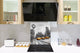 Glasrückwand mit atemberaubendem Aufdruck – Küchenwandpaneele aus gehärtetem Glas BS25 Serie Städte:  Taxi Usa 2