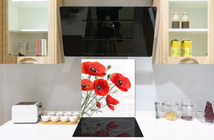 Glass kitchen backsplash – Photo backsplash BS03 Flower Series: Poppy On A White Background 2