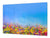 ENORME tabla de cortar de VIDRIO templado - Serie de flores DD06A Claro Colorido 1