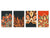 Set von 4 Hackbrettern aus Hartglas mit modernen Designs; MD01 Ethnic Series: Red Carpet designs 3