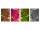 Set von 4 Hackbrettern aus Hartglas mit modernen Designs; MD01 Ethnic Series: Color flowers 1 