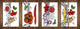 Lot de planches à découper – Lot de quatre planches à découper antidérapantes ; MD06 Série de fleurs: Esquisse de fleur