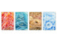 Vier Küchen-Schneidbretter – 20 x 30 cm (8 x 12 Zoll) Glas-Hackbretter; MD08 Full of Color Series: Four natural elements
