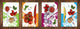 Juego de 4 tablas de cortar - Tablas de cortar de cristal templado: Serie Lleno de colores MD08: Conjunto floral abstracto