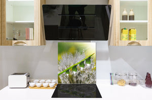 Fond en verre renforcé – Antiprojections en verre – Antiéclaboussures cuisine e salle de bain BS17 Série herbe verte et céréales: Feuille de pissenlit