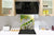 Rückwand aus gehärtetem Glas für Kochfeld – Glasauftankung – Rückwand für Küchenspüle BS17 Serie grünes Gras und Getreide:   Dandelion Leaf