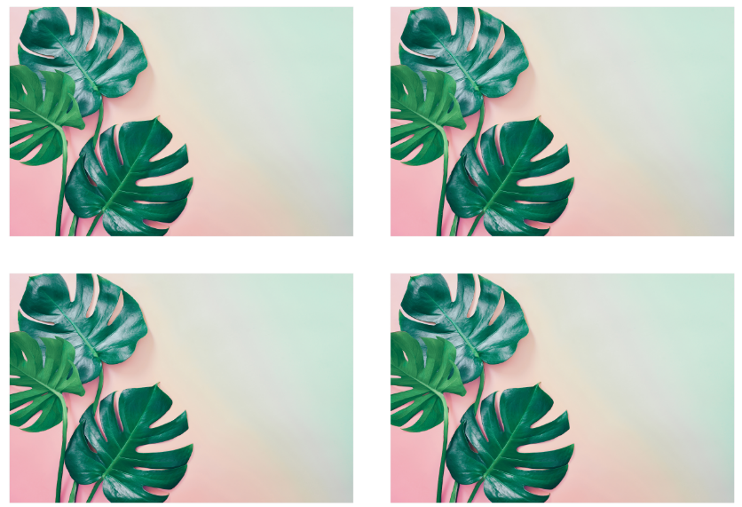 Niki - set of 4 boards