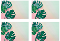 Niki - set of 4 boards