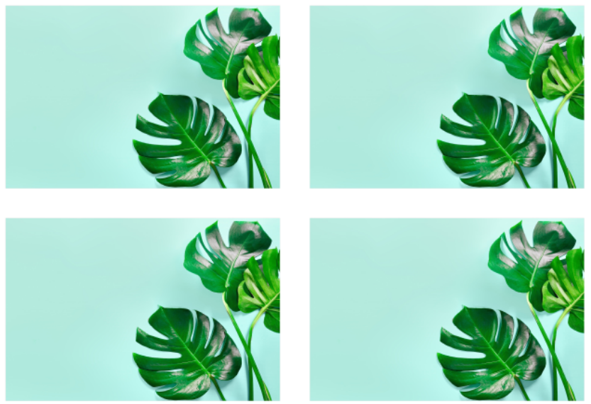 Niki - set of 4 boards