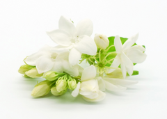 Order for Niki 70x50CM ENORMOUS  Tempered GLASS Chopping Board