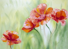 Order for Niki 70x50CM ENORMOUS  Tempered GLASS Chopping Board