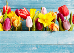 Order for Niki 70x50CM ENORMOUS  Tempered GLASS Chopping Board