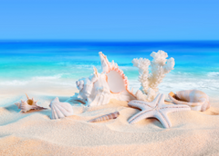 Order for Niki 70x50CM ENORMOUS  Tempered GLASS Chopping Board