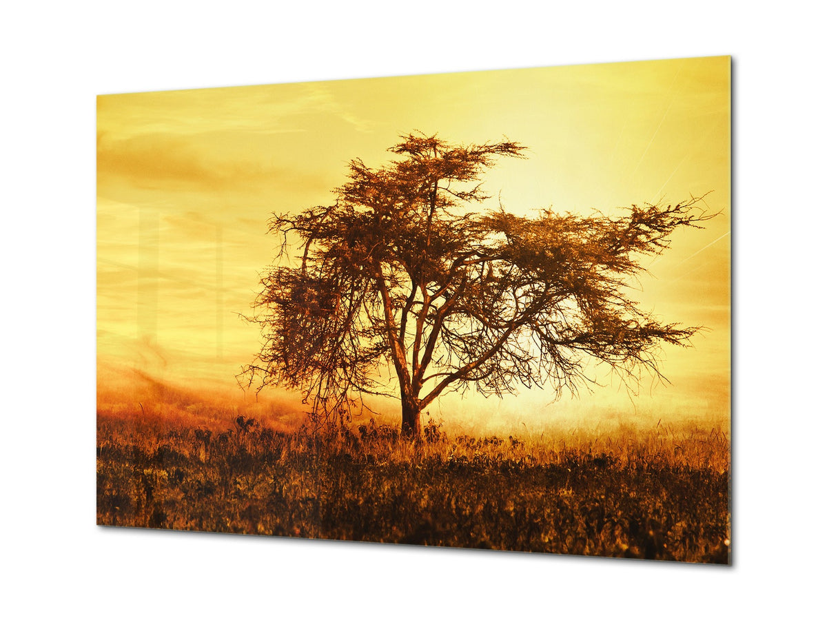 Glass Print Wall Art – Image on Glass SART01B Nature Series: African tree silhouette over sunset