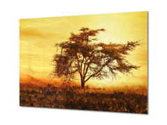Glass Print Wall Art – Image on Glass SART01B Nature Series: African tree silhouette over sunset