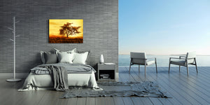 Glass Print Wall Art – Image on Glass SART01B Nature Series: African tree silhouette over sunset