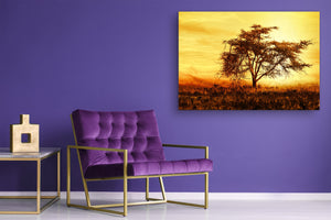 Glass Print Wall Art – Image on Glass SART01B Nature Series: African tree silhouette over sunset
