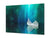 Modern Glass Picture - Contemporary Wall Art SART04 Flowers and leaves Series: Leaf on a lake mirror surface