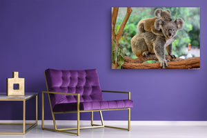 Glass Picture Wall Art - Picture on Glass SART03A Animals Series: Koala bears