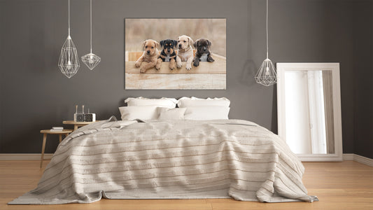 Glass Picture Wall Art - Picture on Glass SART03A Animals Series: Puppies sitting in a box