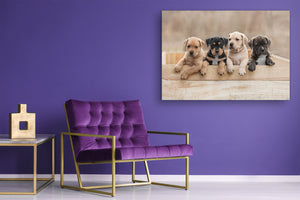 Glass Picture Wall Art - Picture on Glass SART03A Animals Series: Puppies sitting in a box
