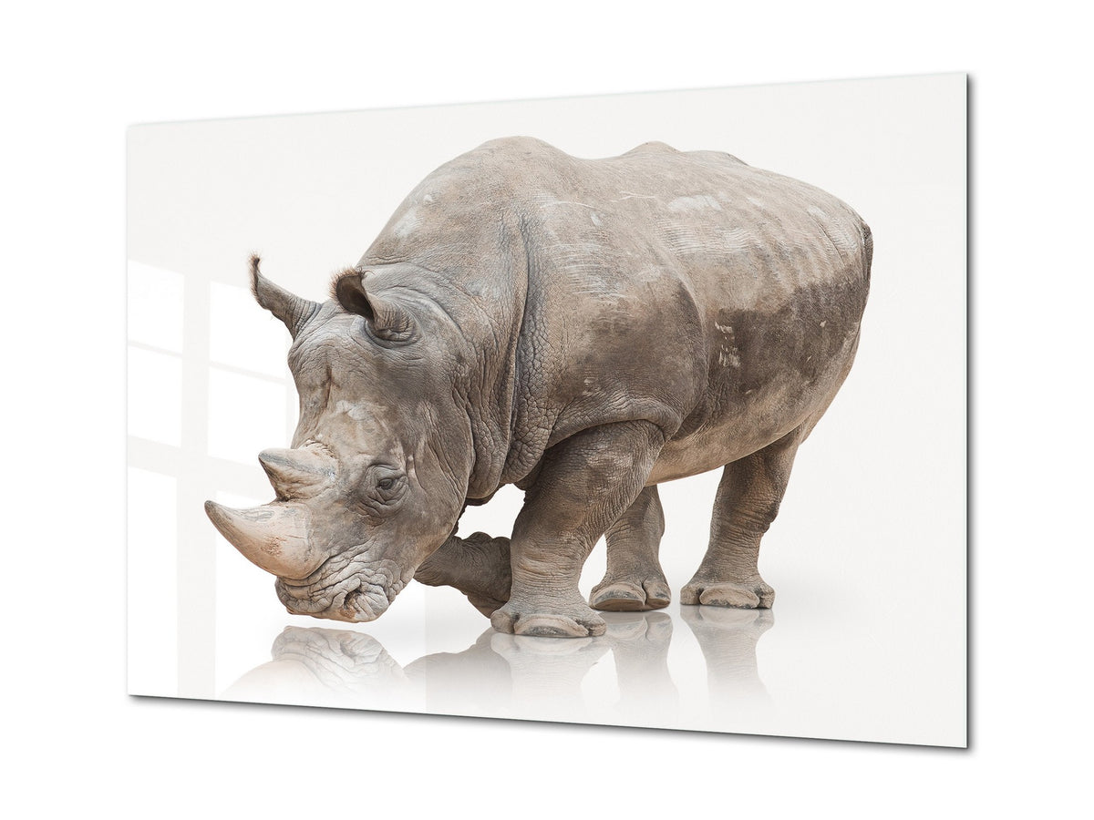Glass Picture Wall Art - Picture on Glass SART03A Animals Series: Rhino on a white background