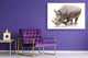 Glass Picture Wall Art - Picture on Glass SART03A Animals Series: Rhino on a white background