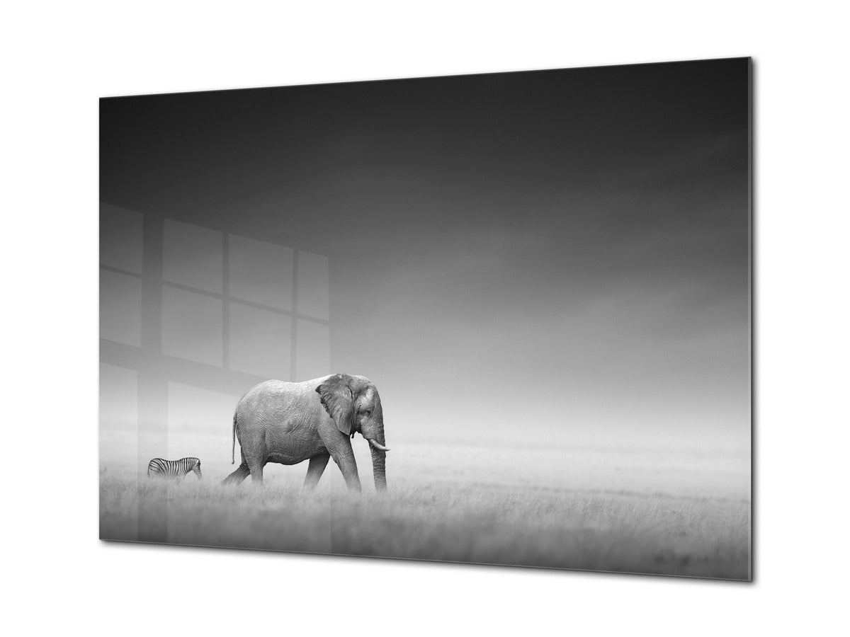 Wall Art - Glass Print Canvas Picture SART03B Animals Series: Elephant with zebra