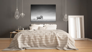 Wall Art - Glass Print Canvas Picture SART03B Animals Series: Elephant with zebra