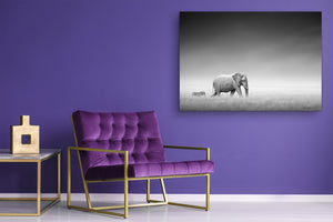 Wall Art - Glass Print Canvas Picture SART03B Animals Series: Elephant with zebra