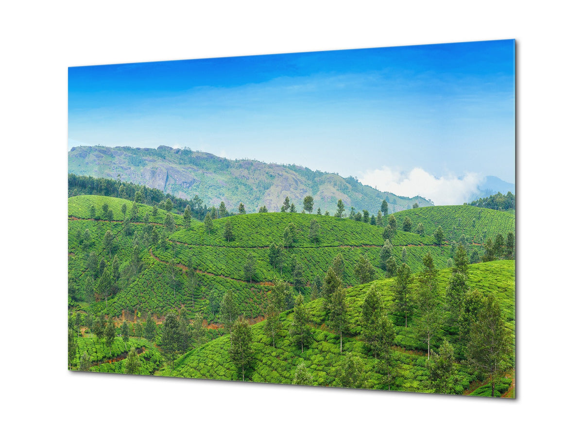 Modern Glass Picture - Contemporary Wall Art SART01 Nature Series: Tea plantations