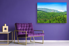 Modern Glass Picture - Contemporary Wall Art SART01 Nature Series: Tea plantations