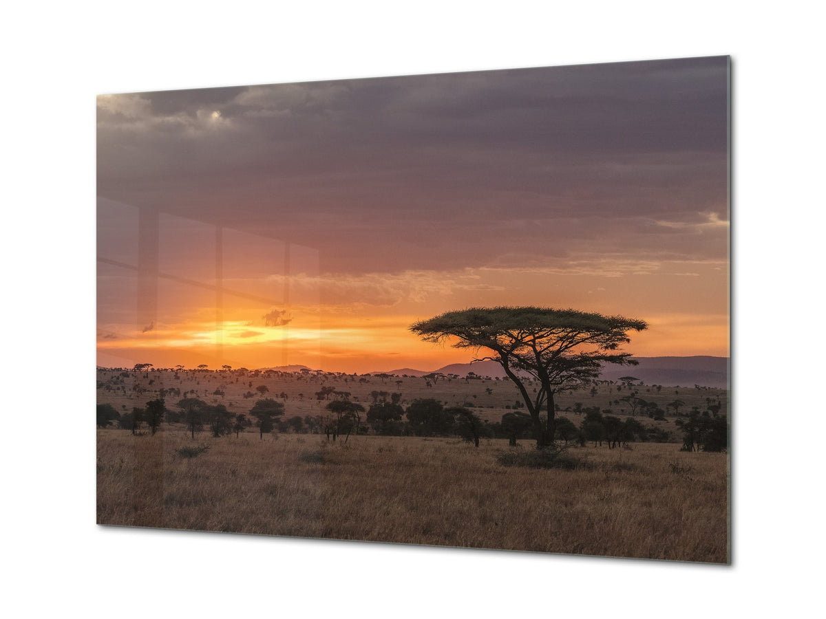 Glass Printed Picture - Wall Picture behind Tempered Glass SART01D Nature Series: The Serengeti