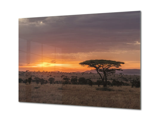 Glass Printed Picture - Wall Picture behind Tempered Glass SART01D Nature Series: The Serengeti