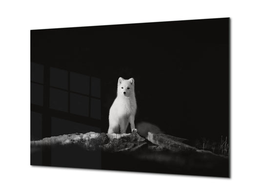 Wall Art - Glass Print Canvas Picture SART03B Animals Series: Arctic fox