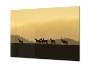 Glass Printed Picture - Wall Picture behind Tempered Glass SART01D Nature Series: Dark silhouettes of wild animals