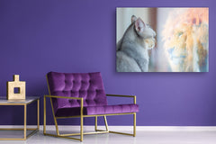 Glass Picture Wall Art - Picture on Glass SART03A Animals Series: Self esteem concept