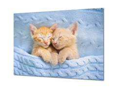 Glass Picture Wall Art - Picture on Glass SART03A Animals Series: Baby cats sleeping