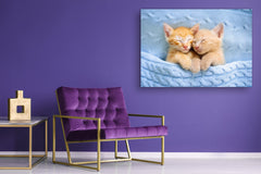 Glass Picture Wall Art - Picture on Glass SART03A Animals Series: Baby cats sleeping