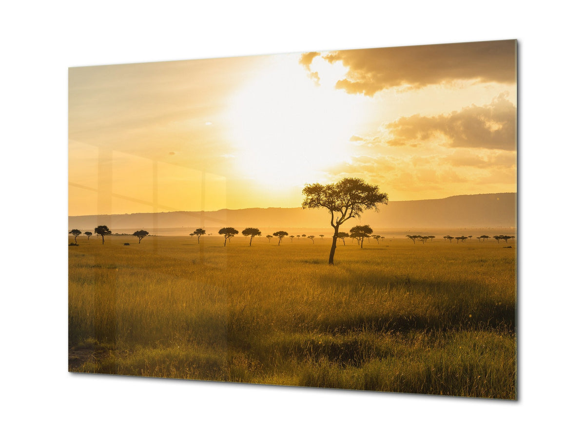 Glass Printed Picture - Wall Picture behind Tempered Glass SART01D Nature Series: Sunny savanna