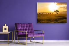 Glass Printed Picture - Wall Picture behind Tempered Glass SART01D Nature Series: Sunny savanna