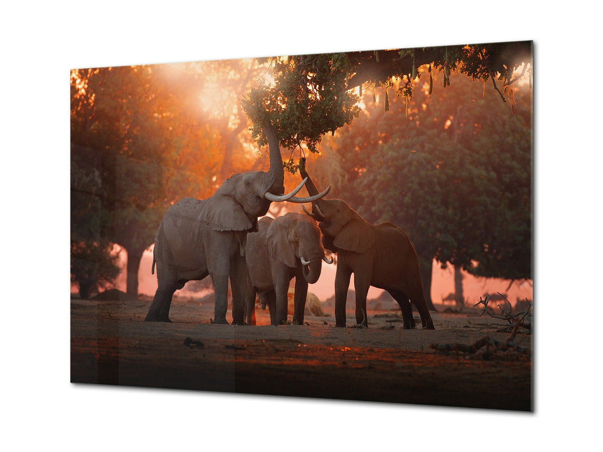 Glass Picture Wall Art - Picture on Glass SART03A Animals Series: African elephants