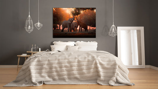 Glass Picture Wall Art - Picture on Glass SART03A Animals Series: African elephants